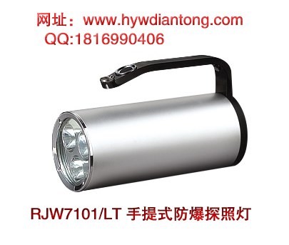 ������RJW7101/LT����ʽ����̽�յ�(˫���磩