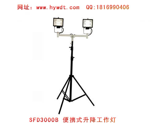 ������SFD3000B��Яʽ����������