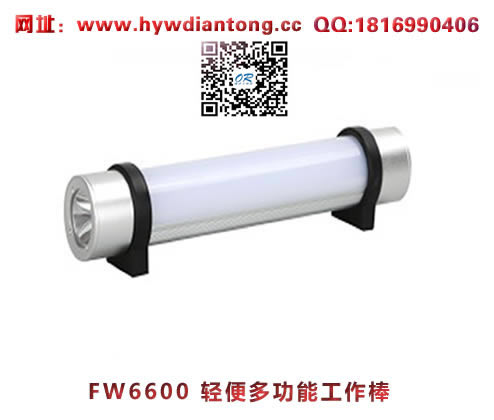 ������FW6600���ʽ�๦�ܹ�����