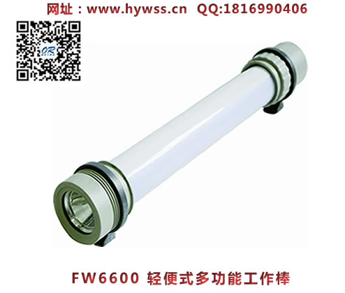 ������FW6600���ʽ�๦�ܹ�����